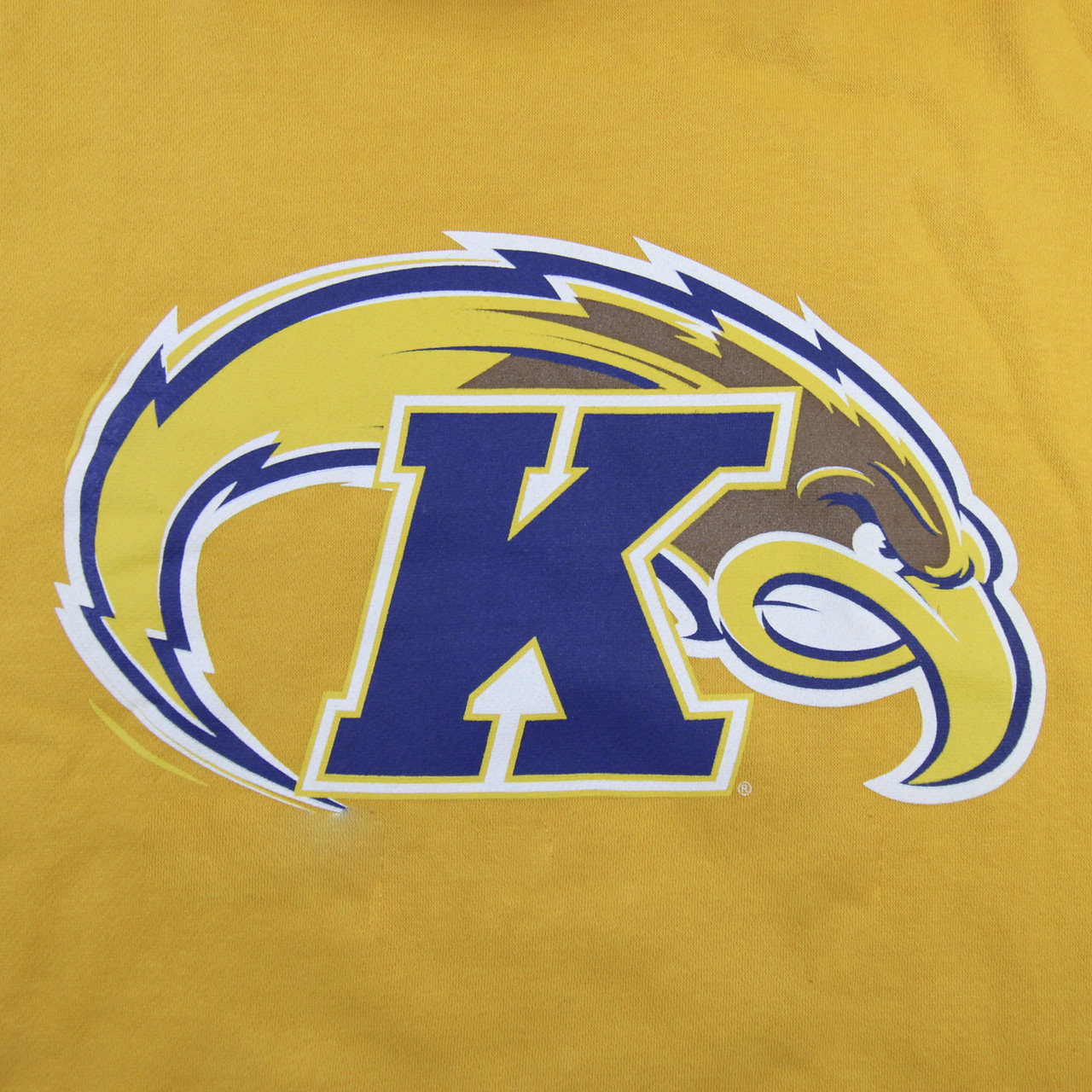 Kent State Golden Flashes